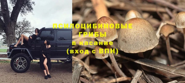 тгк Горняк