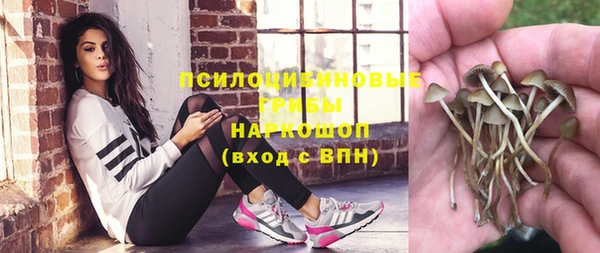 твердый Горно-Алтайск