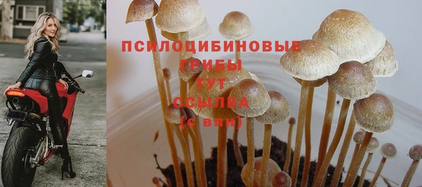 каннабис Горнозаводск