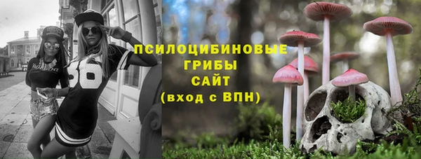 твердый Горно-Алтайск